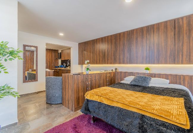 Departamento en Durango - New York Loft en Centro Historico con Roof Garden 