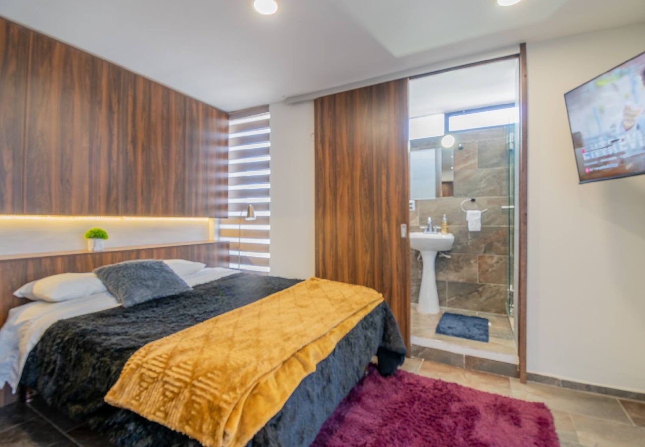 Departamento en Durango - New York Loft en Centro Historico con Roof Garden 