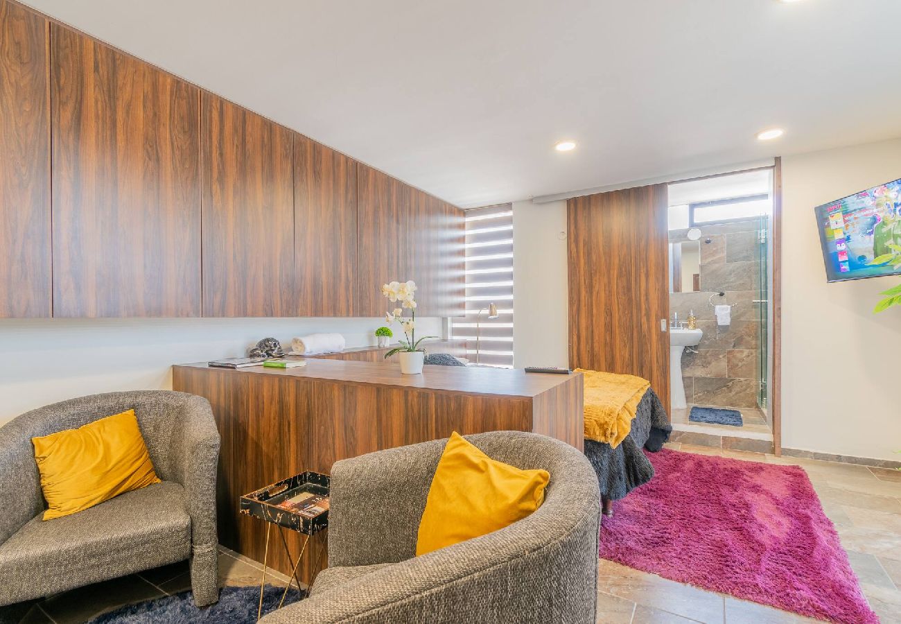 Departamento en Durango - New York Loft en Centro Historico con Roof Garden 