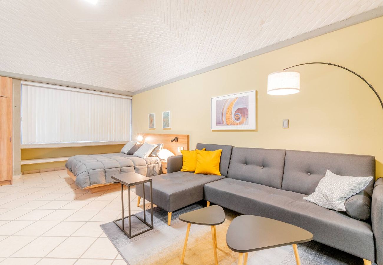 House in Durango - Lindo LOFT en Corazon de Durango con Minisplit 