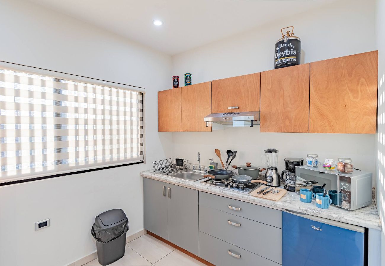 Apartment in Durango - LOFT El Azul | Centro Historico | Cama King 