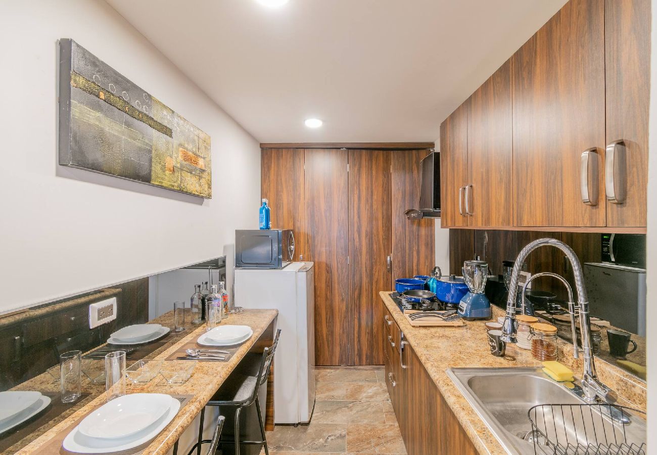 Apartment in Durango - New York Loft en Centro Historico con Roof Garden 